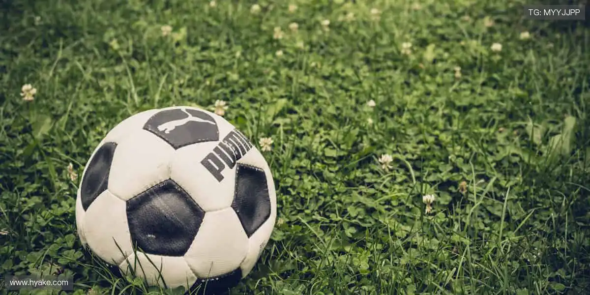 激情永不落幕!⚽ 即刻加入,与千万球迷共享狂欢时刻!